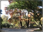 foto Giardini di Porta Venezia